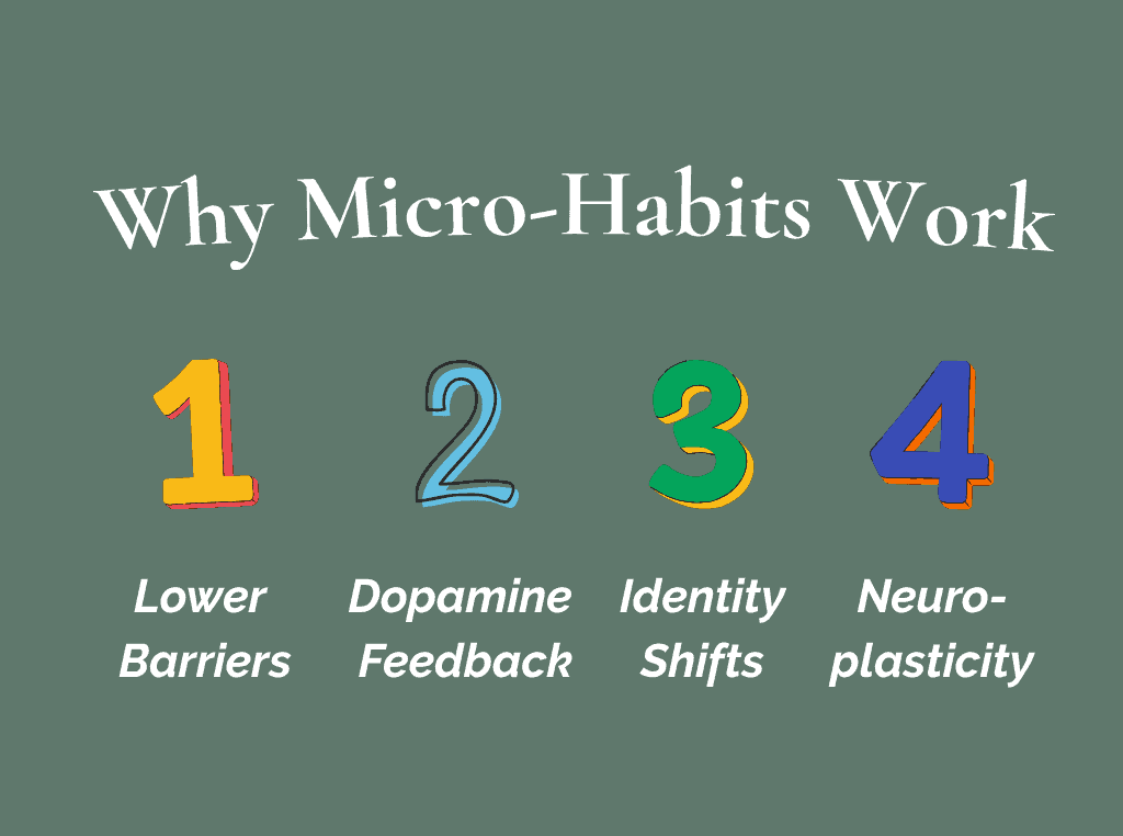 Infographic showing the four benefits of micro-habits: ease, brain reward, identity change, and brain rewiring.